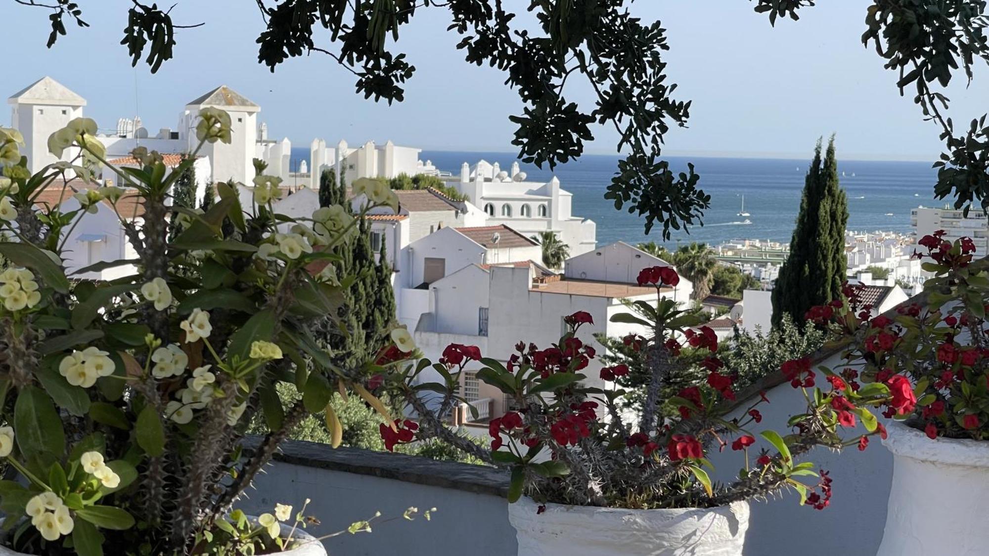 Hotel Terra Aloe Torremolinos Zewnętrze zdjęcie